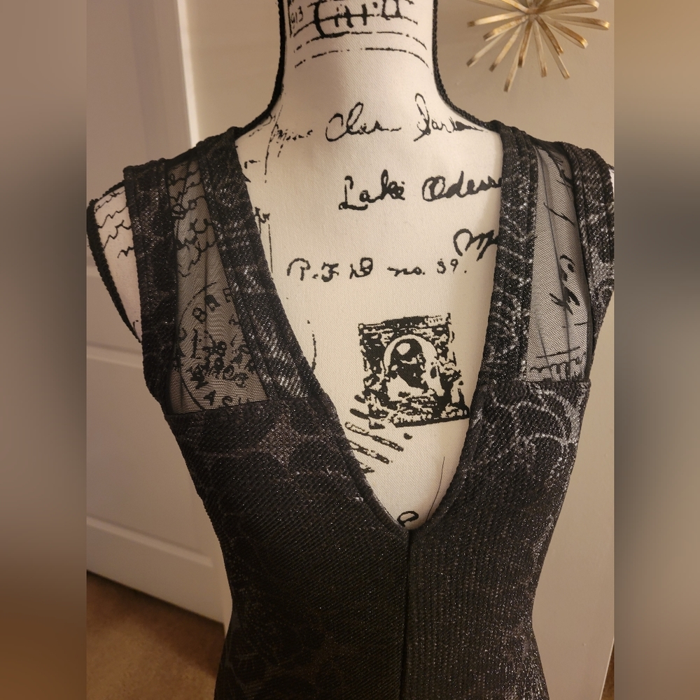 Plunge Neck ~ Mesh Insert Bodycon Dress